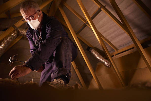 Best Specialized Insulation Services in Macarthur, WV